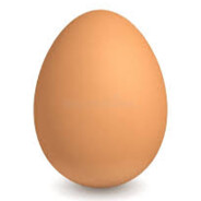 Egg