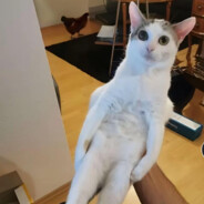 -_-