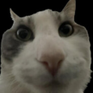 Catwires
