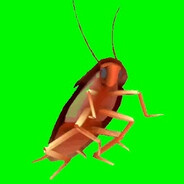 Roach