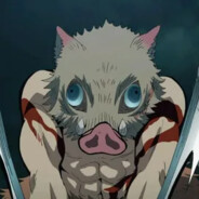 pogianhaninnamja