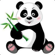 Amazing Panda