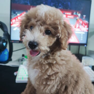 也欧尼