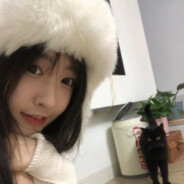 智力王