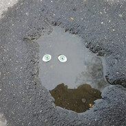 Лужа