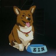 corgi