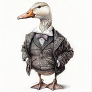 Fender duck