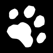 Cat Me If You Can