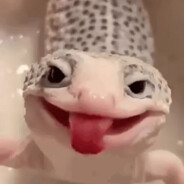 LAGARTIXA