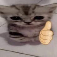 meow meow