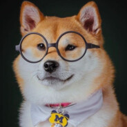 Dog0f