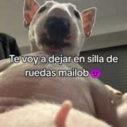 󠀡󠀡