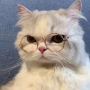 Grumpyfren