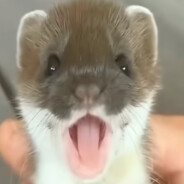 GuL