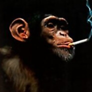 Monkey kisser 47