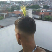 PdrX