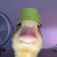 Duckie~🦆