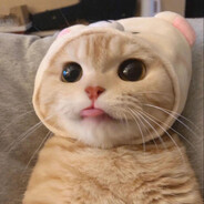 Ren