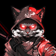 Gato Ninja (/-.-)/
