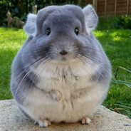 :]:]:]:] player avatar