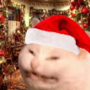 santa's cat