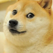 Doctor Bork