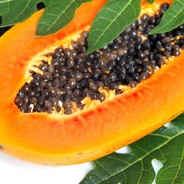 Papaya