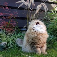 <AAAAaaAAaaAA>
