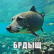 брдыщ