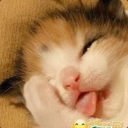 静