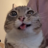 m0NTEN