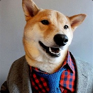 Waivex