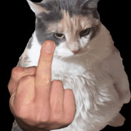 TinyDarki