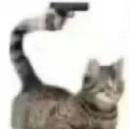 bobboroonno