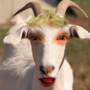 goat