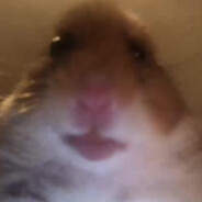 tuan
