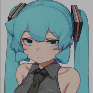 Miku Enjoyer