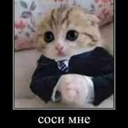 игорь гвоновоз