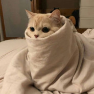 Hto?