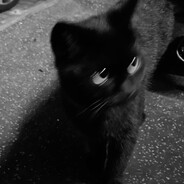 ziva.