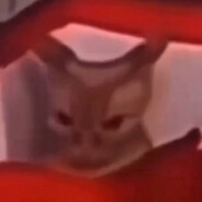 :/