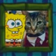 spongekitty