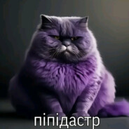 дима пук пук