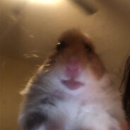 Hambter