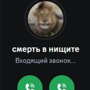 515кг назад