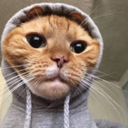 Sam