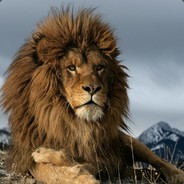 76561198305242367