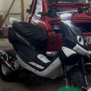 تمثيل بورفو avatar