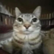 bemmy