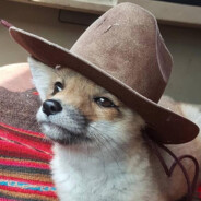 ғox